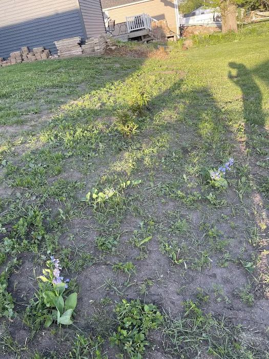 Future Scapes Picture 7