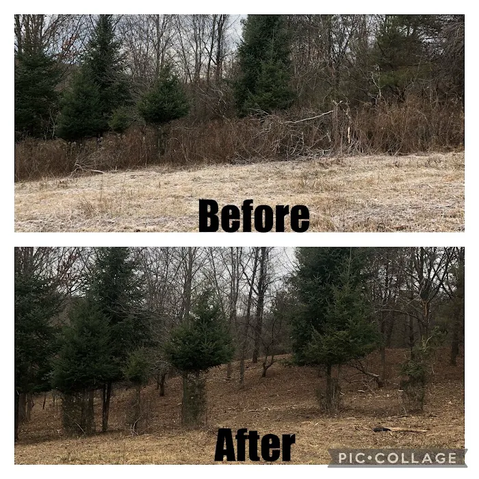 Twisted Oak Land Services, LLC Picture 5