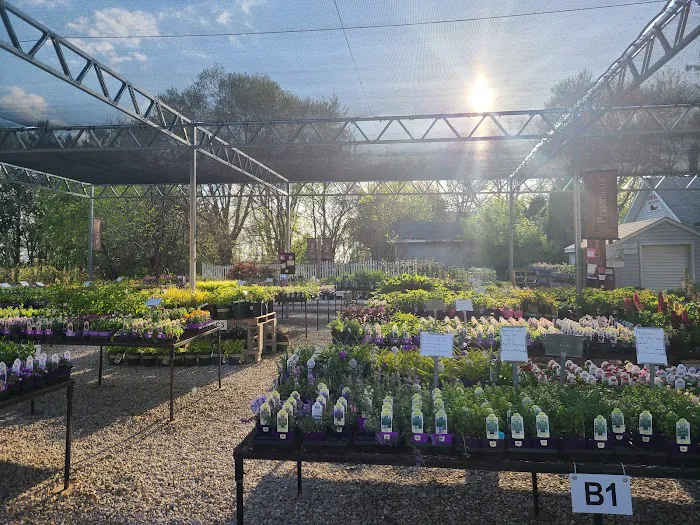 K & K Gardens Picture 7