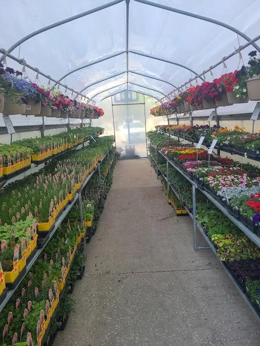 K & K Gardens Picture 2