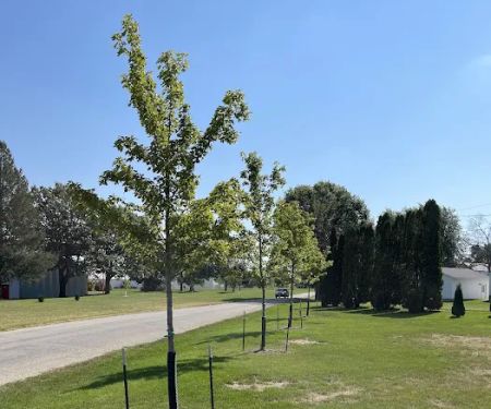 Maifeld Landscaping LLC