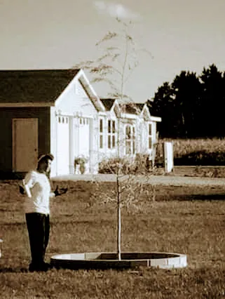 Gotta Guy and Girl LLC. Landscape Maintenance Picture 7