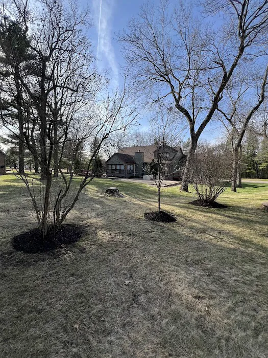 Osorio Landscaping LLC Picture 5