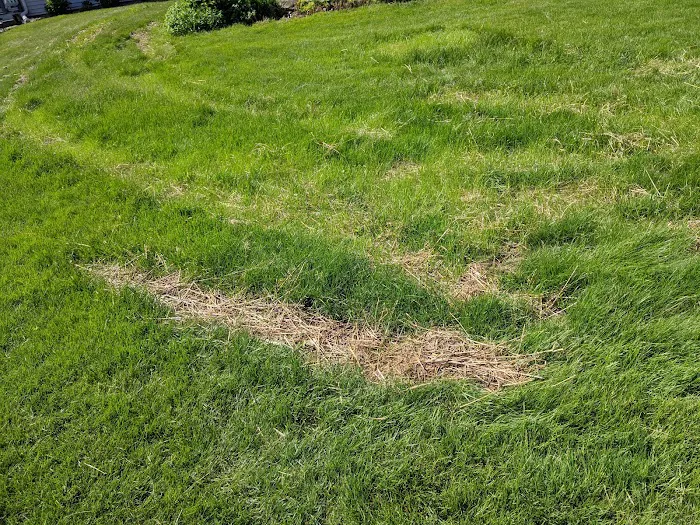 Yard Effects Landscaping, L.L.C. Picture 7