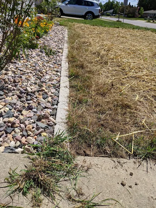 Yard Effects Landscaping, L.L.C. Picture 1