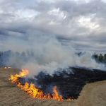 EC3 Environmental Consulting Group, Inc.