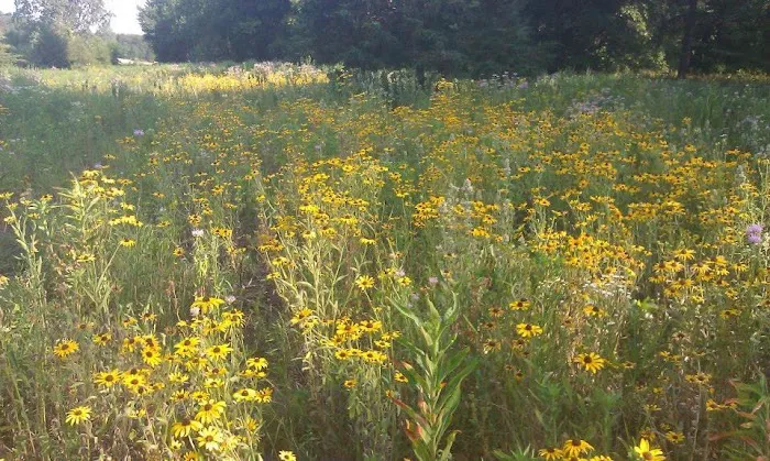 EC3 Environmental Consulting Group, Inc. Picture 3