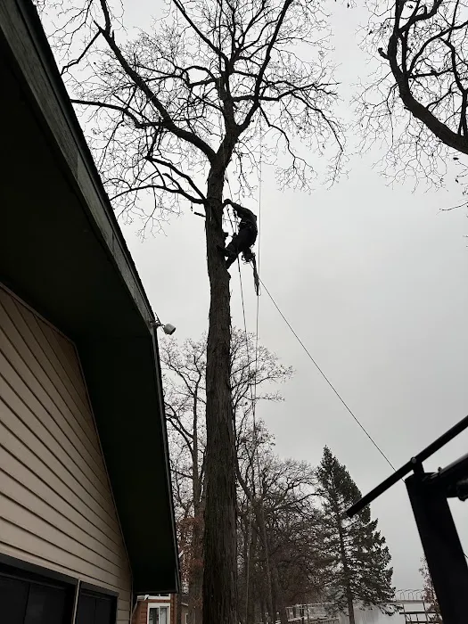 Cutting Edge Tree Service Picture 2