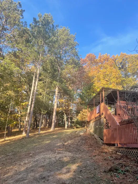 Cutting Edge Tree Service Picture 7