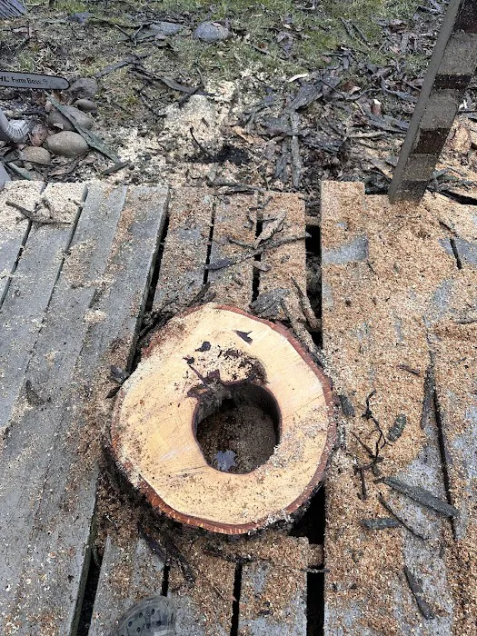 Cutting Edge Tree Service Picture 10