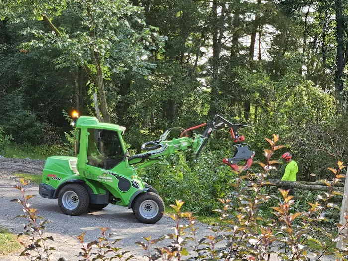 Cutting Edge Tree Service Picture 8