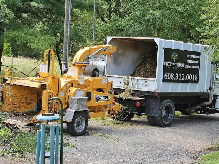 Cutting Edge Tree Service Picture 6