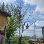 Cutting Edge Tree Service