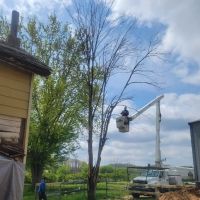 Cutting Edge Tree Service ico