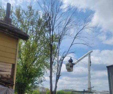 Cutting Edge Tree Service