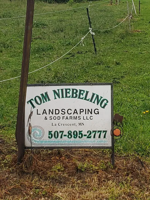 Tom Niebeling Landscaping LLC Picture 3
