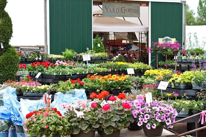 Trees Today Nursery Inc. Picture 4