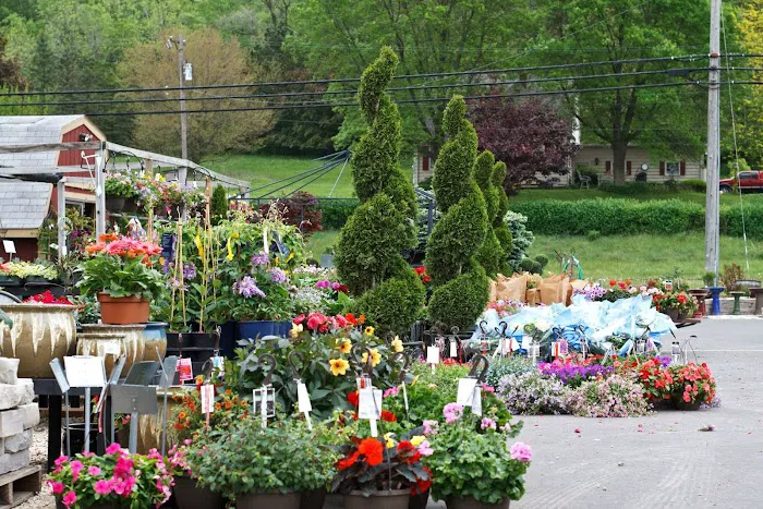 Trees Today Nursery Inc. Picture 5