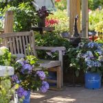 Trees Today Nursery Inc.