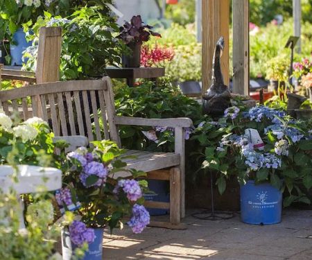 Trees Today Nursery Inc.