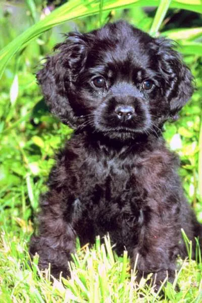 Lawnkeepers Picture 1