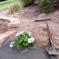Lulich Landscaping ico