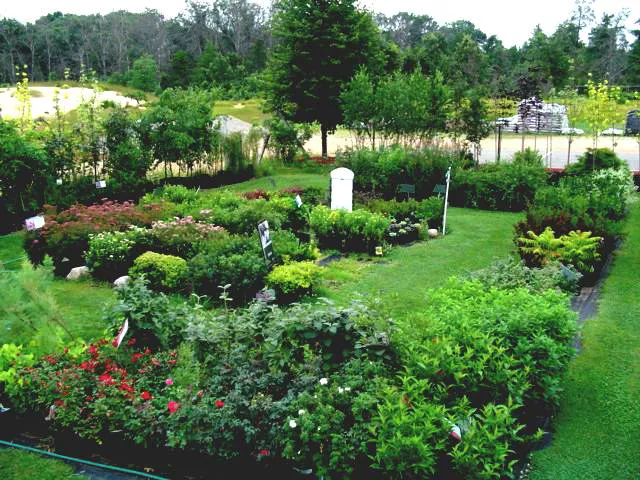 Winding Rivers Landscaping & Garden Center Picture 1