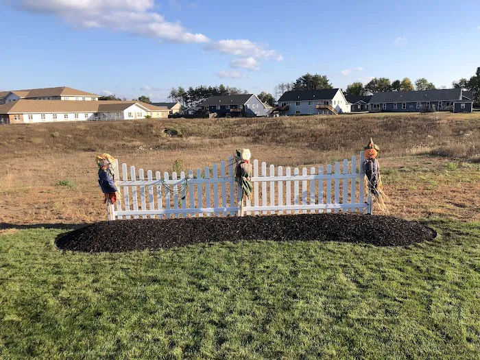 Outdoor Solutions Landscaping LLC Picture 7
