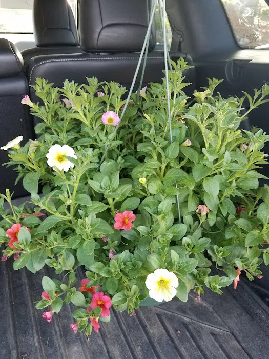 Christen Farm Nursery Picture 2