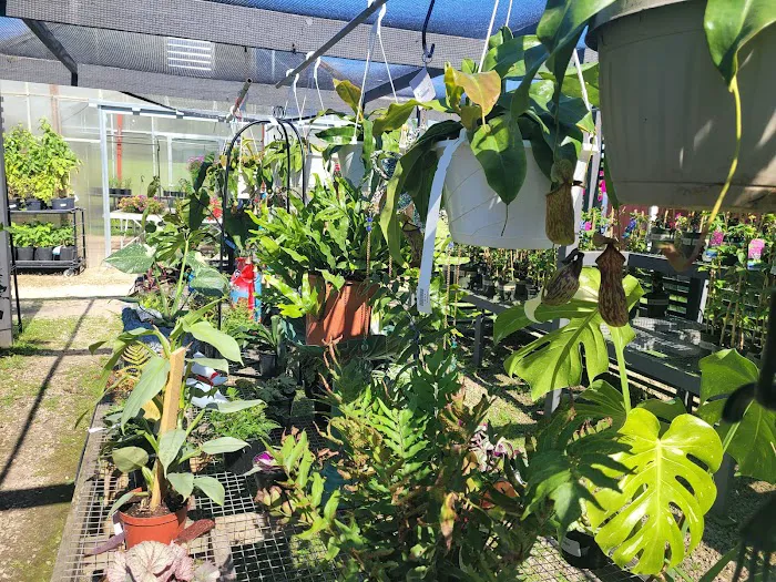 Christen Farm Nursery Picture 7