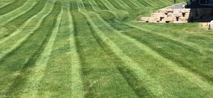 Roudabush Lawn Care, LLC Picture 3