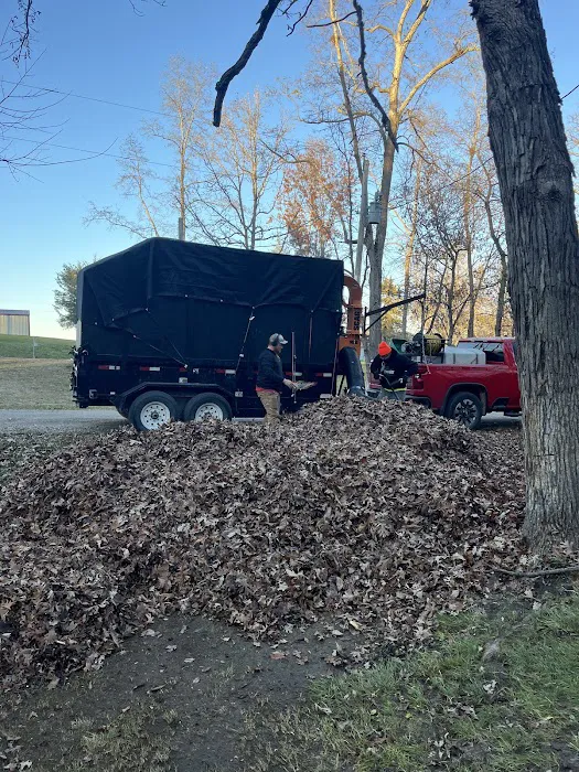 Roudabush Lawn Care, LLC Picture 10