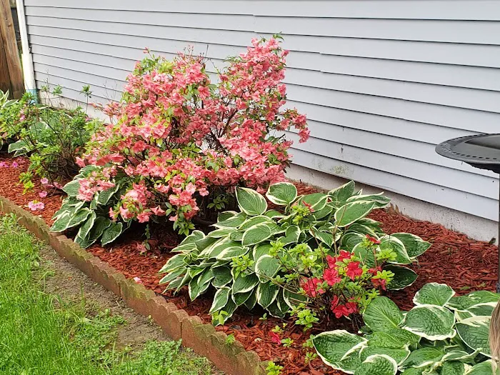 Price & Sons Lawn and Patio Landscaping Picture 4