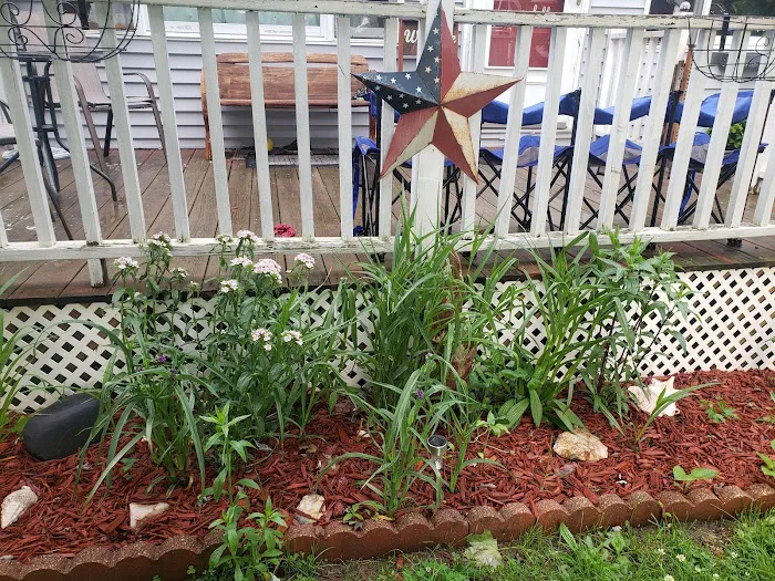 Price & Sons Lawn and Patio Landscaping Picture 3