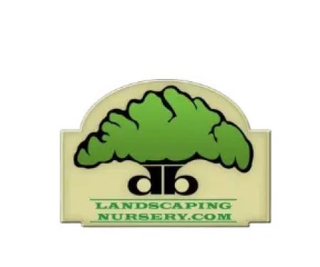 D B Landscaping and Lawn Care