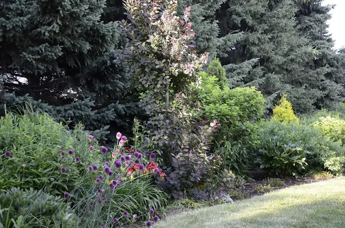 Judy Nauseef Landscape Design Picture 2