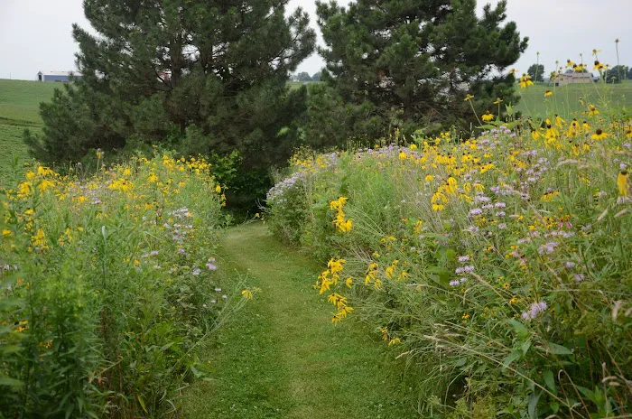 Judy Nauseef Landscape Design Picture 1