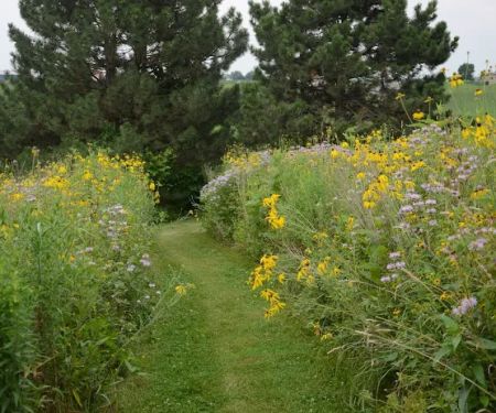 Judy Nauseef Landscape Design