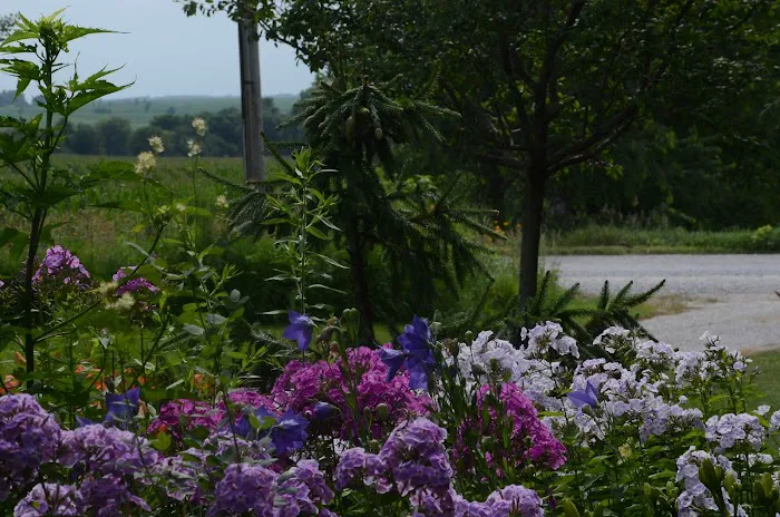 Judy Nauseef Landscape Design Picture 3
