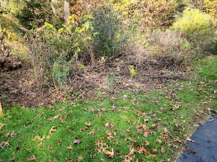 Stars And Stripes Lawncare Picture 7