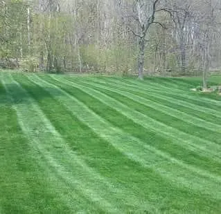 Stars And Stripes Lawncare Picture 5