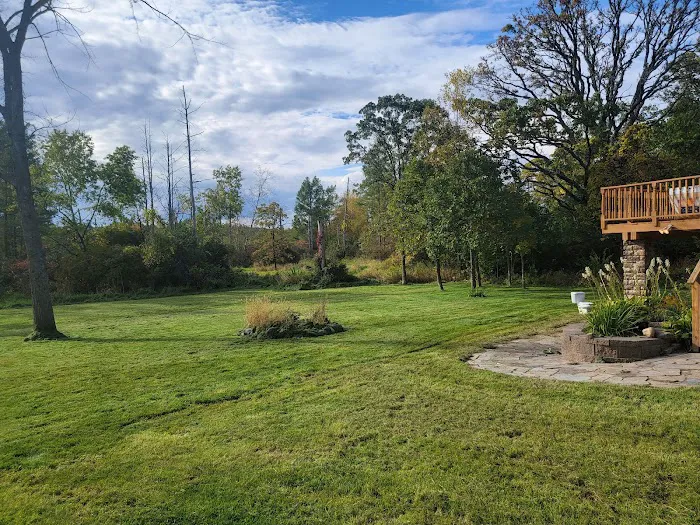 Yard boss llc Picture 4