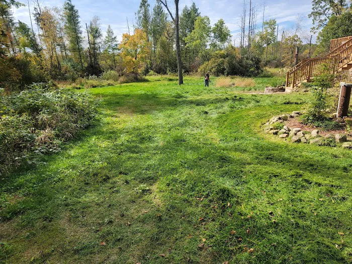 Yard boss llc Picture 3