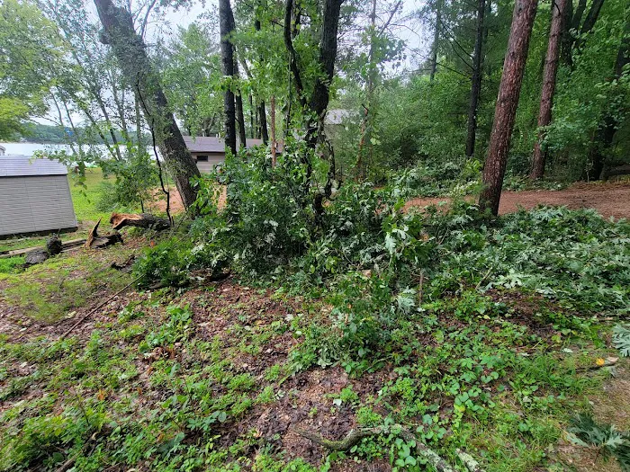 Yard boss llc Picture 6