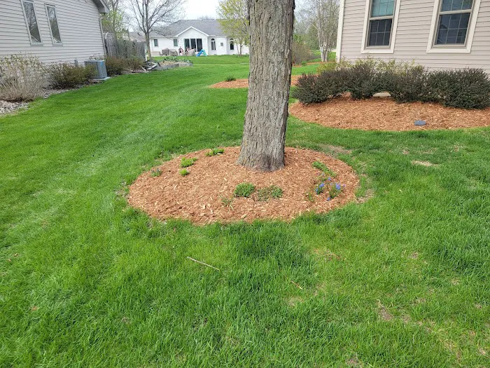 Yard boss llc Picture 2