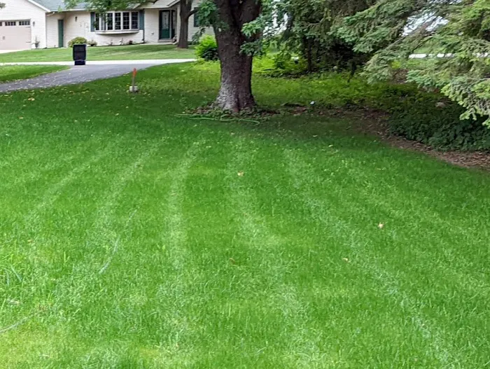 Wildflower Landscapers LLC Picture 7