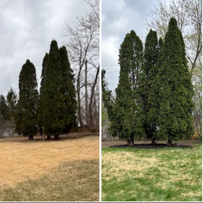 J&S Yard Works LLC Picture 8