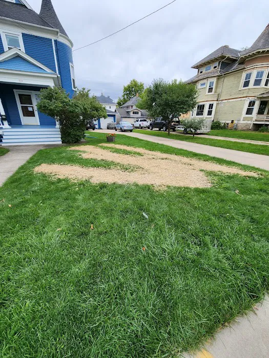DH Lawn Maintenance LLC Picture 7