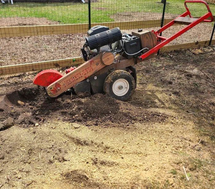 DH Lawn Maintenance LLC Picture 2