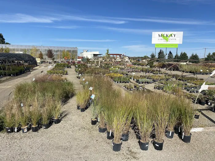 McKay Garden Center - Oshkosh Picture 6